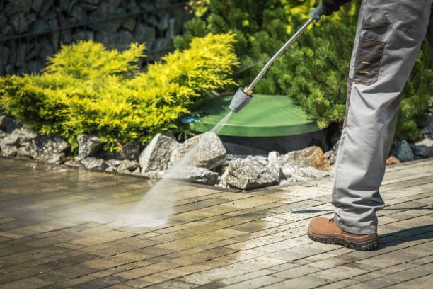 Best Soft Washing  in Pewee Valley, KY